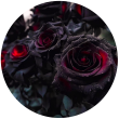 Чорна троянда