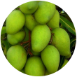 Зелений манго